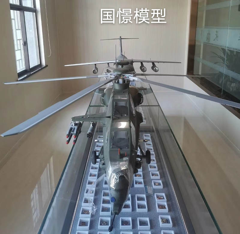 澎湖县飞机模型